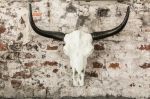 Nástěnná dekorace EL TORO 70 CM Nástěnná dekorace EL TORO 70 CM