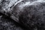 Kusový koberec Miro 51278.810 Marble black / white - 80x150 cm