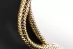 Nástěnné zrcadlo WILDLIFE SNAKE XL 85 CM zlatá Nástěnné zrcadlo WILDLIFE SNAKE XL 85 CM zlatá