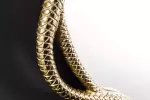 Nástěnné zrcadlo WILDLIFE SNAKE L 50 CM zlatá Nástěnné zrcadlo WILDLIFE SNAKE L 50 CM zlatá