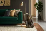 Konferenční stolek WILDLIFE KING APE 65 CM černá/zlatá Konferenční stolek WILDLIFE KING APE 65 CM černá/zlatá