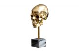 Skulptura SKULL 35 CM zlatá Skulptura SKULL 35 CM zlatá