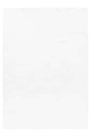 Kusový koberec Pouffy 5100 White - 80x250 cm Kusový koberec Pouffy 5100 White - 80x250 cm
