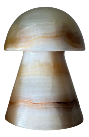 Onyxová malá houba Onyxová malá houba