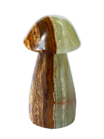 Onyxová velká houba Onyxová velká houba