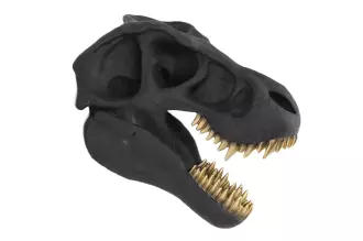 Nástěnná dekorace T-REX 40 CM černá Nástěnná dekorace T-REX 40 CM černá